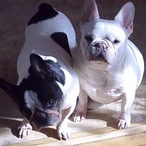 Meet your Posher, Patricia